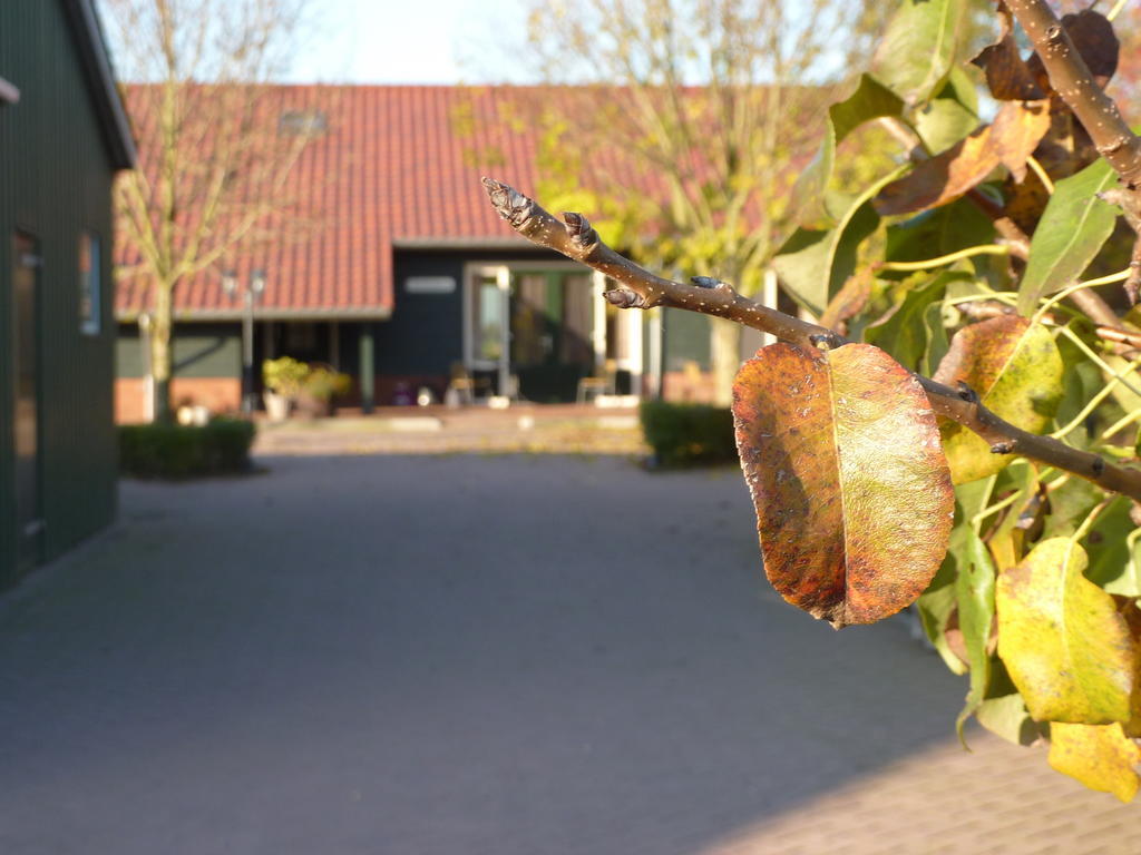 Boerderij "De Verwondering" Goudriaan Eksteriør bilde