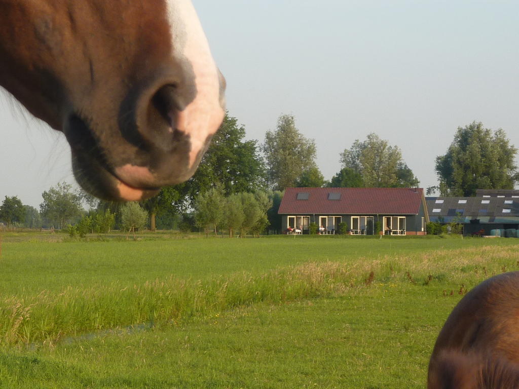 Boerderij "De Verwondering" Goudriaan Eksteriør bilde